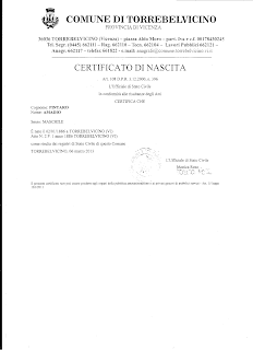 Certidão Nascimento de Amadio Pintaro(AmadeoPintro)
