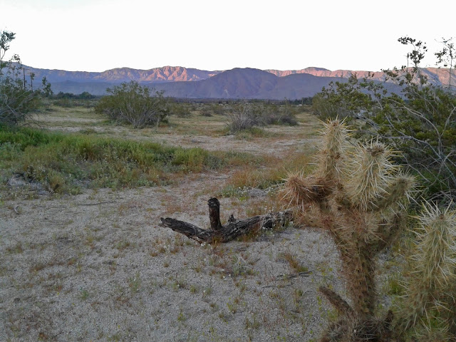 Sunset in Borrego Springs