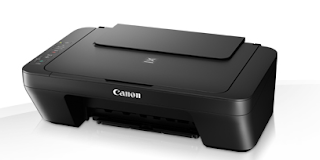 Canon PIXMA MG2550S