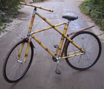 Bamboo Bicycle