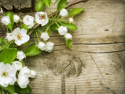 SPRING HD WALLPAPERS  69