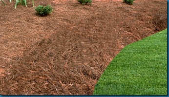 Where To Buy Wood Chips For Landscaping