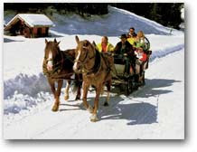 tourist sleigh ride Garmisch-Partenkirschen