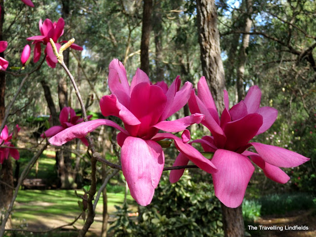 Araluen Botanic Park