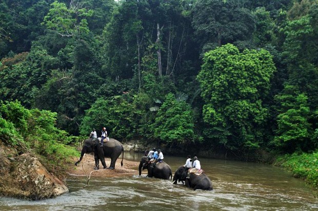 National Park of Barisan Selatan Hill