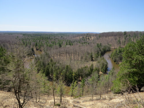 Manistee River oxbow