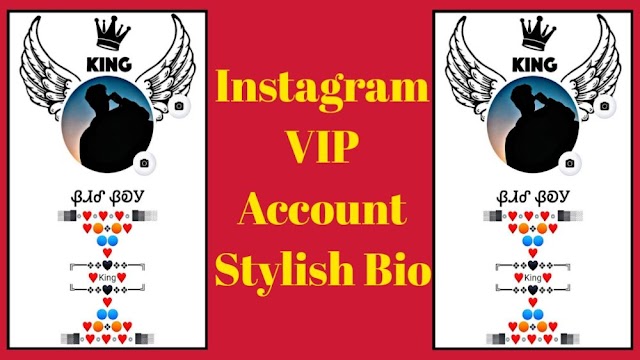 500+ New Instagram VIP Account Stylish Bio 2023: Instagram Stylish Bio