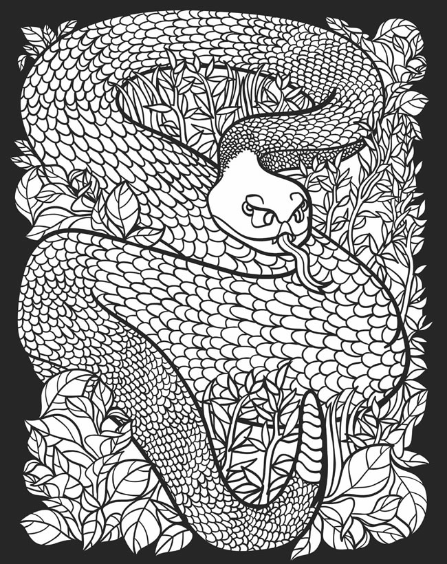 Coloring Pages on Pinterest Dover Publications Coloring Pages and