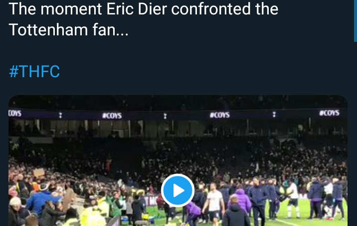 OMG! Eric Dier Jumps Into Crowd To FIGHT a Tottenham Fan, Who Insulted His Family (Video)