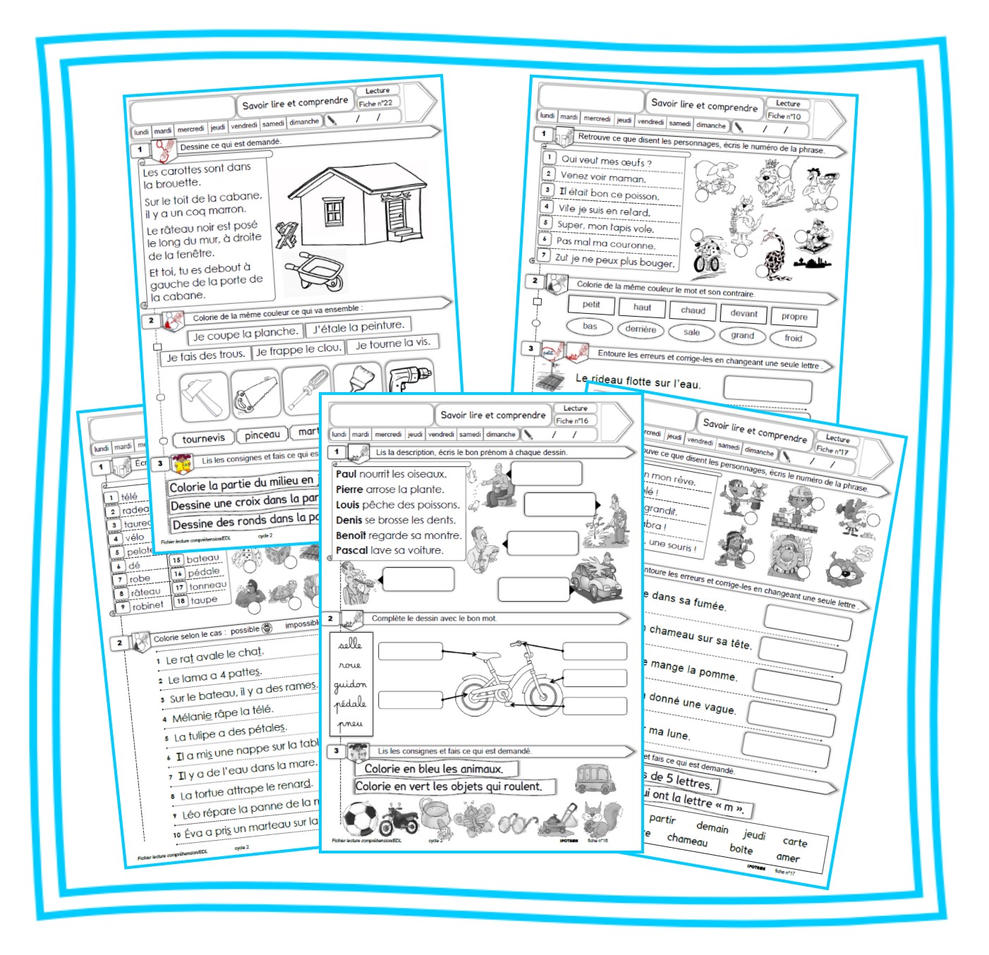 Ipotame Tame Cycle 2 Comprehension Lecture