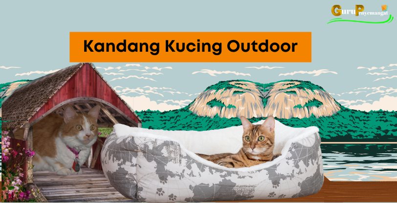 Kandang Kucing Outdoor Sederhana dan Murah