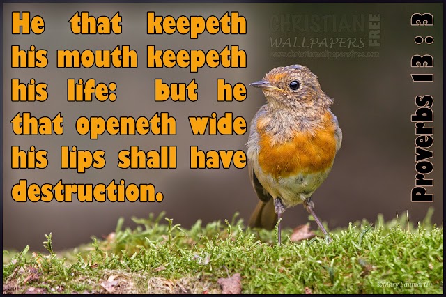 He that keepeth his mouth keepeth his life