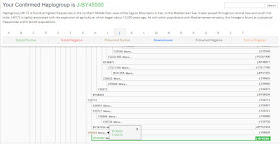 FTDNA haplotree