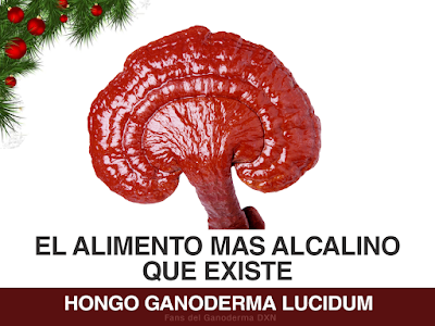 Resultado de imagen para dxn contra alergia