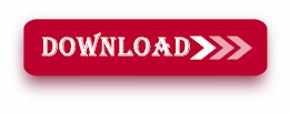 John Wick Chapter 4 Download in Hindi 480p, 720p HD MSub.mkv