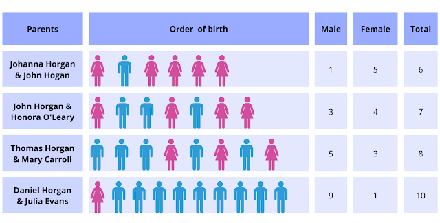 diagram showing numbers of male and female grandchildren