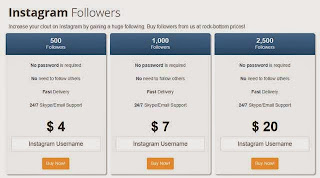 TheFollowerShop - Where to buy Instagram Followers, Instagram Likes