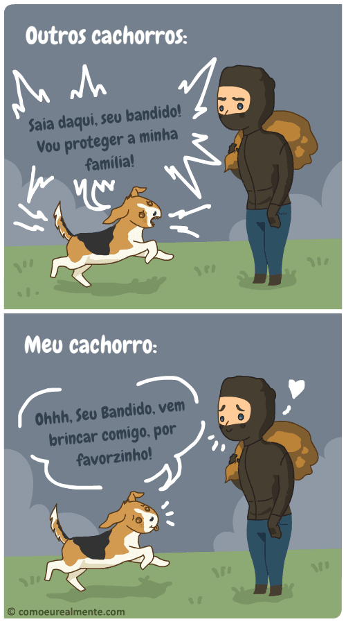 Enquanto os outros cachorros defenderiam a família de ameaças e intrusos, meu cachorro ficaria implorando para o bandido brincar com ele