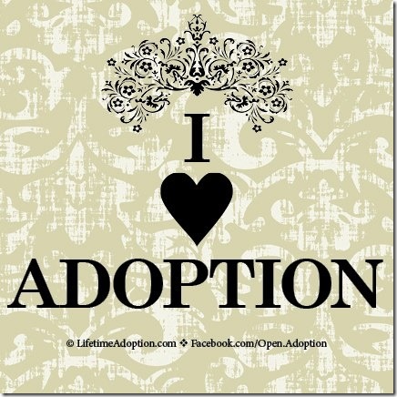 adopcoon (2)