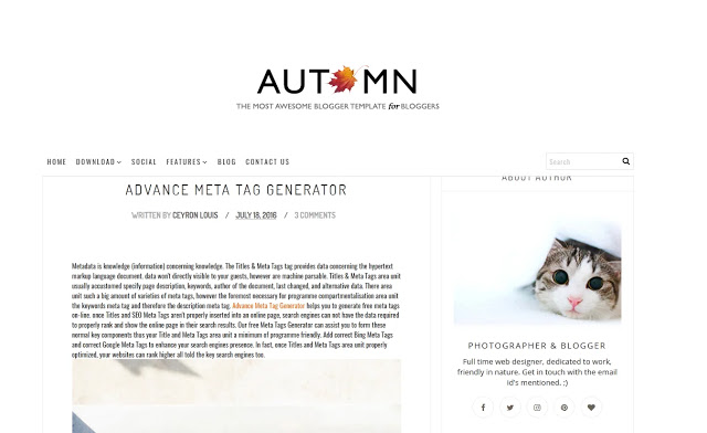 Autumn Personal Blogger Template