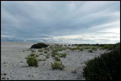 Killens Pond to Assateague 012