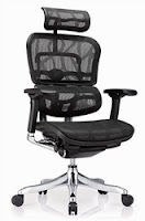 Ergo Elite Chair by Eurotech