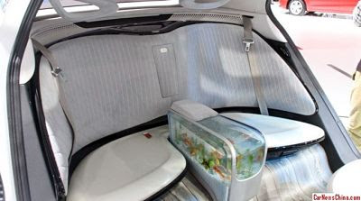 Aquarium Dalam Mobil