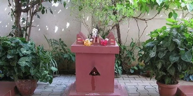 Tulsi Maadam