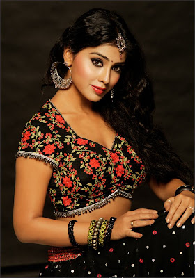 Gorgeous actress Shriya Saran Beautiful Photo Shoot