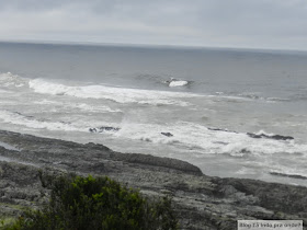 Parque Nacional de Tsitsikamma