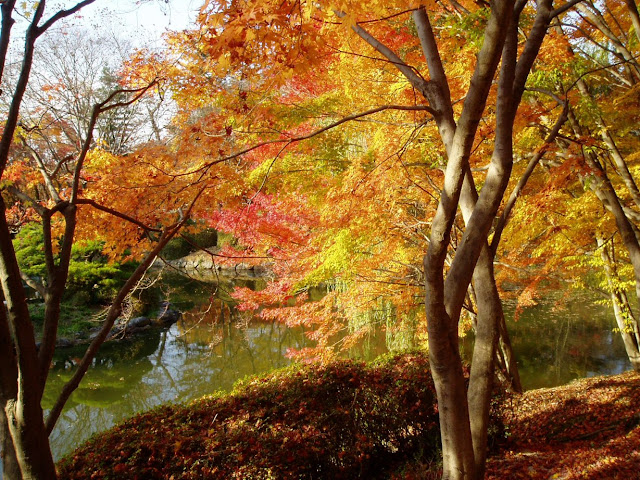 Autumn Korea8