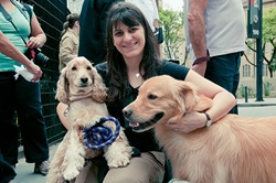 Cãonhecendo São Paulo (225)