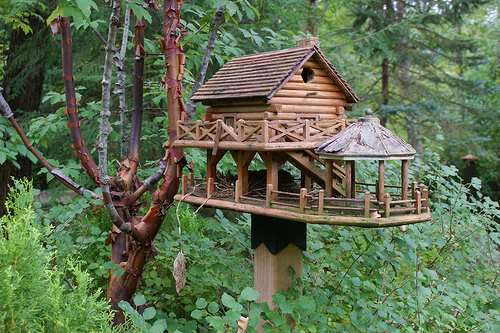 Unusual Birdhouses