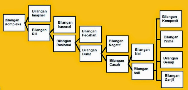  kami akan merangkumkan perihal definisi banyak sekali macam bilangan dimulai dari pengertian b Pengertian Bilangan dan Macam-macam bilangan beserta contohnya