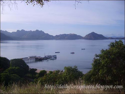 komodo landscape