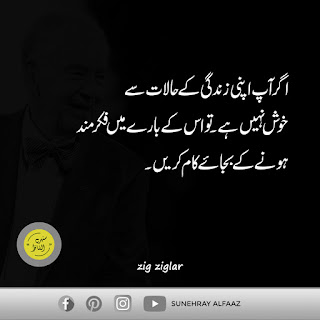 quotes in urdu