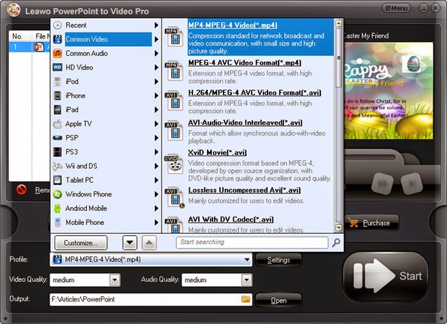 Make up Settings for the Converted Video