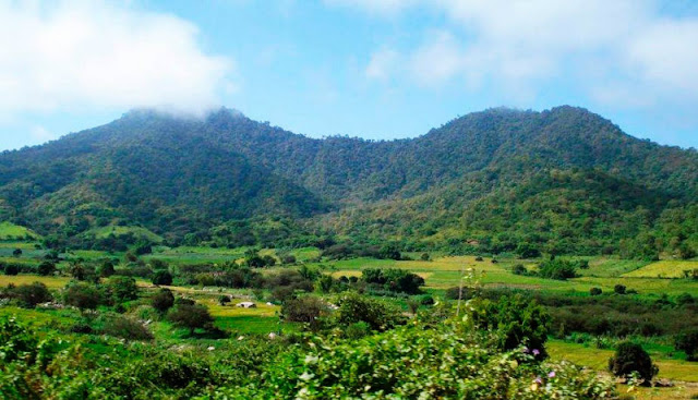 Parque Nacional Cerros Amotape