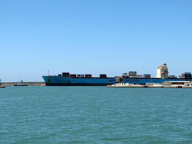 Portacontainer Maersk Douglas, IMO 9297876, rimorchiatore Pierluigi Neri, porto di Livorno