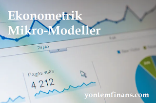 Ekonometrik Mikro-Modeller Nedir?