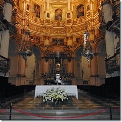 P1000554