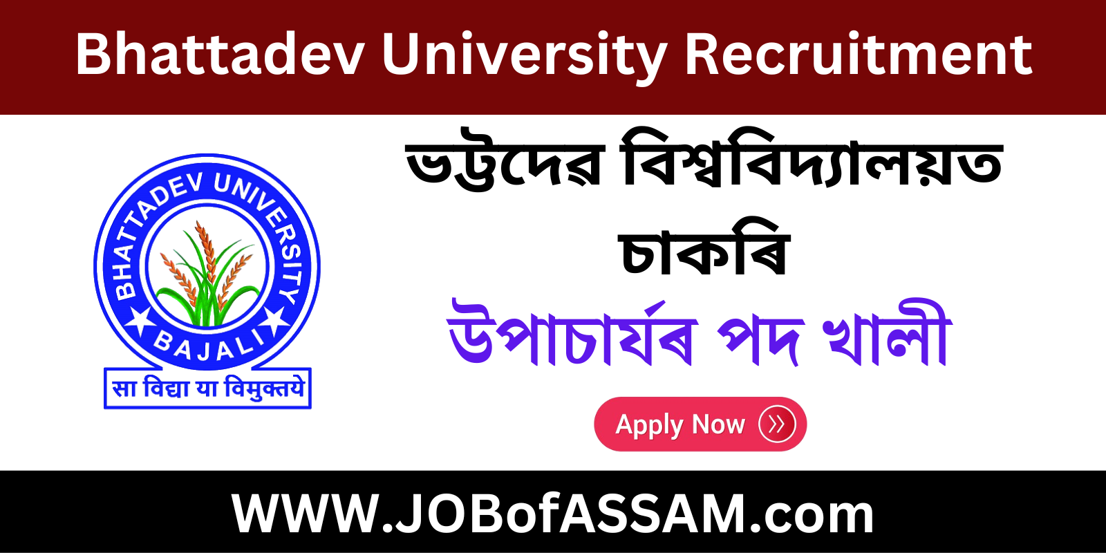 Bhattadev University Recruitment 2024 - Vice Chancellor Post