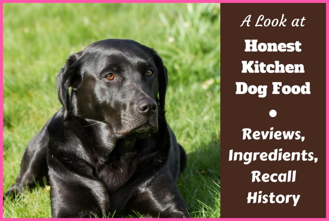 8 Honest Kitchen Dog Food Recall Honest Kitchen Dog Food Reviews Ingrents Recall History and  Honest,Kitchen,Dog,Food,Recall