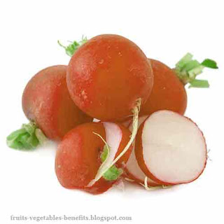 benefits_of_eating_radishes_fruits-vegetables-benefits.blogspot.com(benefits_of_eating_radishes_9)