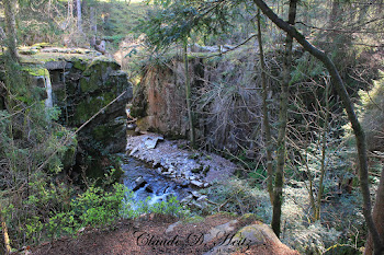 le saut des cuves