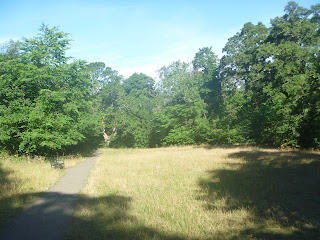 a path between two areas of dry grass with trees at either side