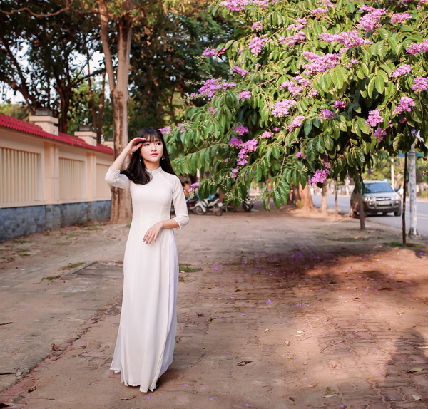 Thiếu nữ áo dài trắng, hoa bằng lăng