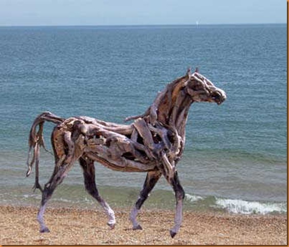driftwood4