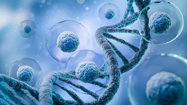 Cell And Gene Therapy Market Size