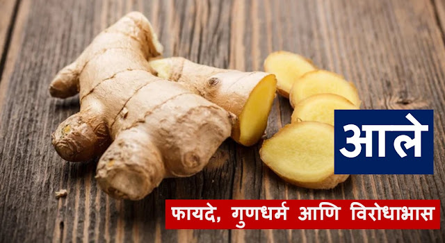 Ginger in Marathi